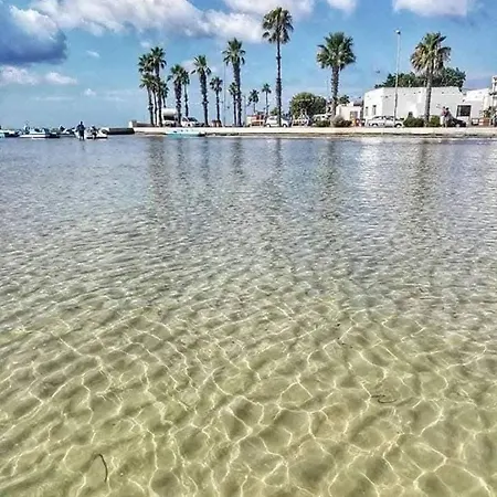 Emily Porto Cesareo